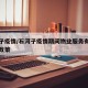 石河子疫情/石河子疫情期间物业服务有没有优惠政策